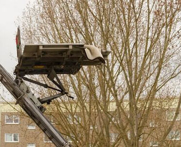 Möbellift in Michelstadt Möbellift in Michelstadt: Möbellift zwischen kahlen Bäumen vor einem Gebäude