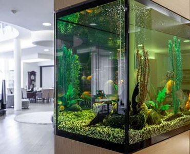 Aquarium-Umzug Michelstadt Aquarium-Umzug Michelstadt: Großes Aquarium in einem modernen Wohnzimmer